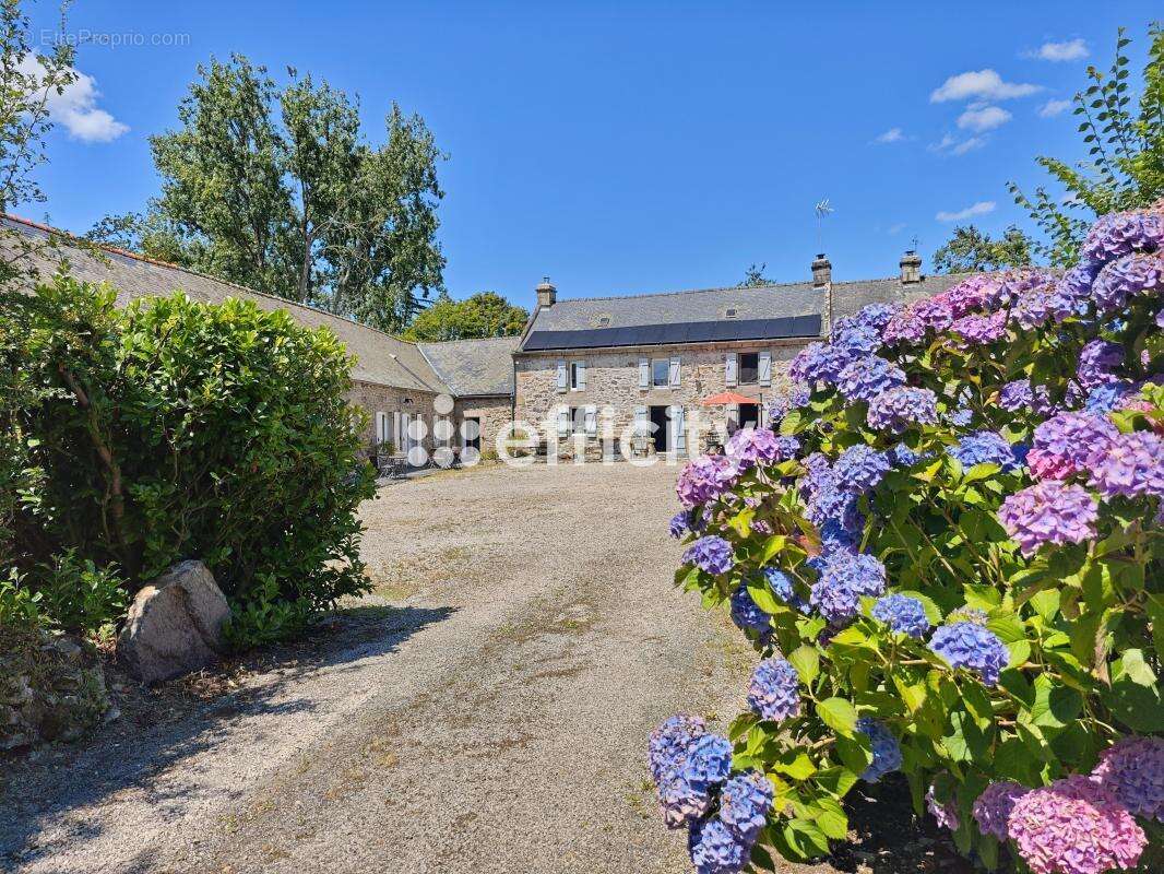 Maison à PLOMODIERN