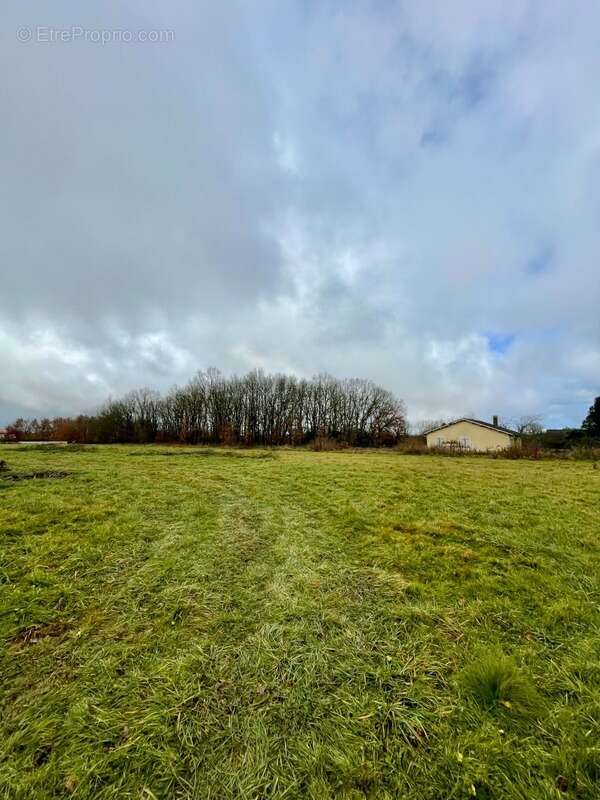 Terrain à SAINT-SARDOS