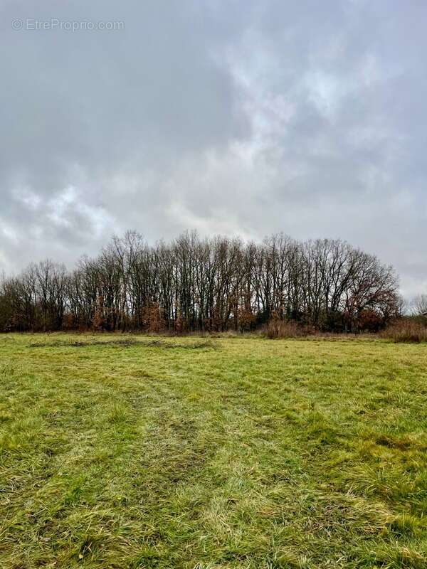 Terrain à SAINT-SARDOS