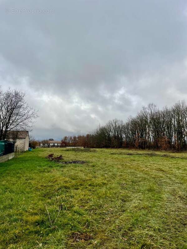 Terrain à SAINT-SARDOS