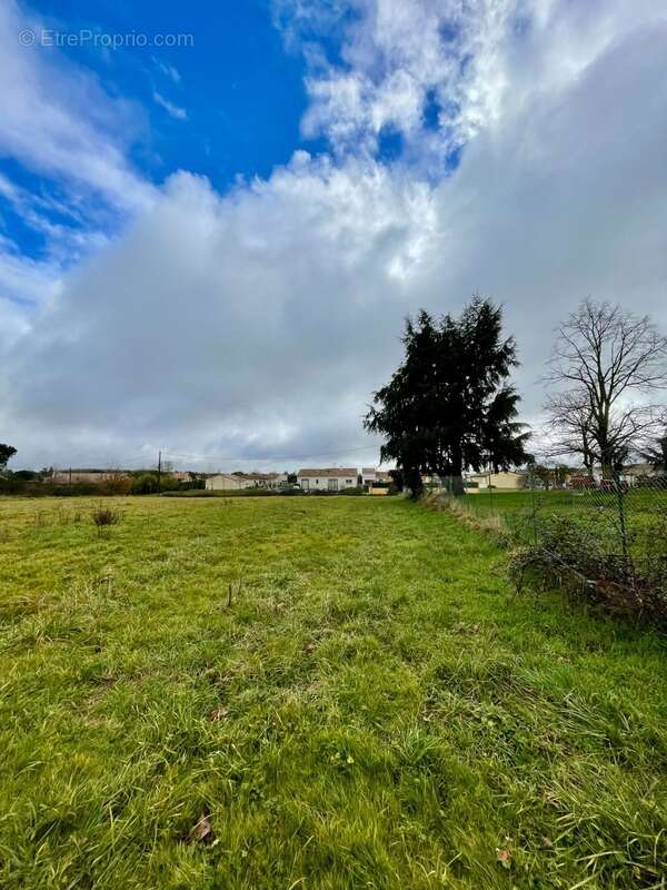 Terrain à SAINT-SARDOS