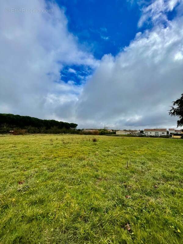 Terrain à SAINT-SARDOS