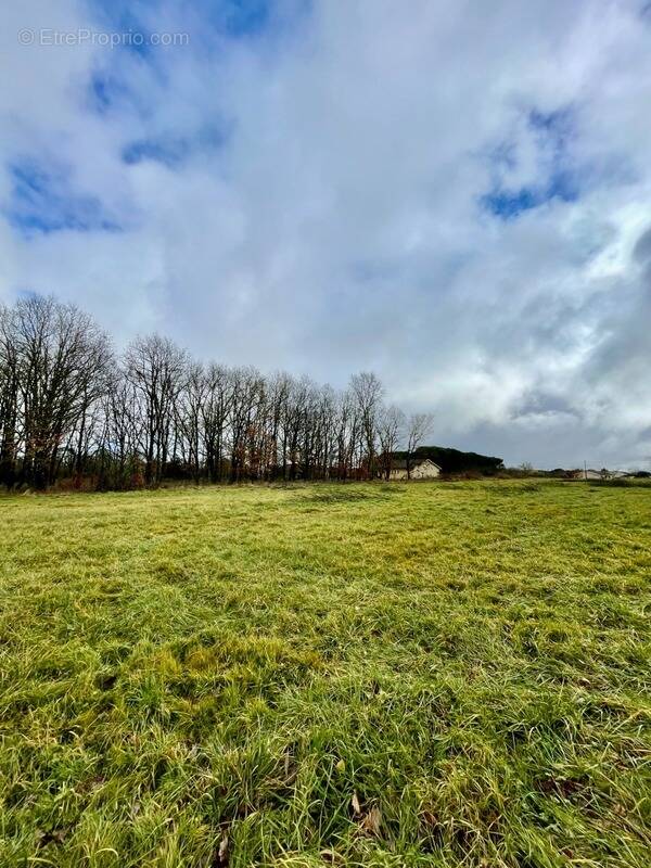 Terrain à SAINT-SARDOS