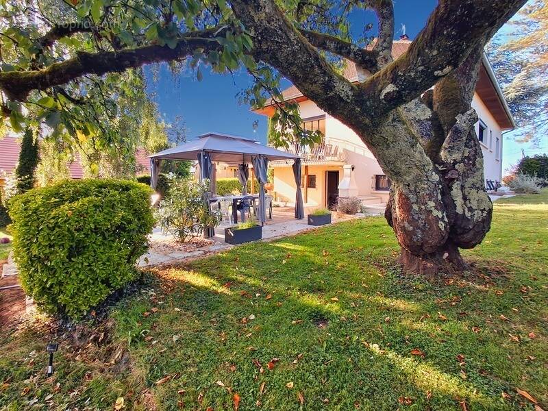 Maison à SAINT-AMOUR