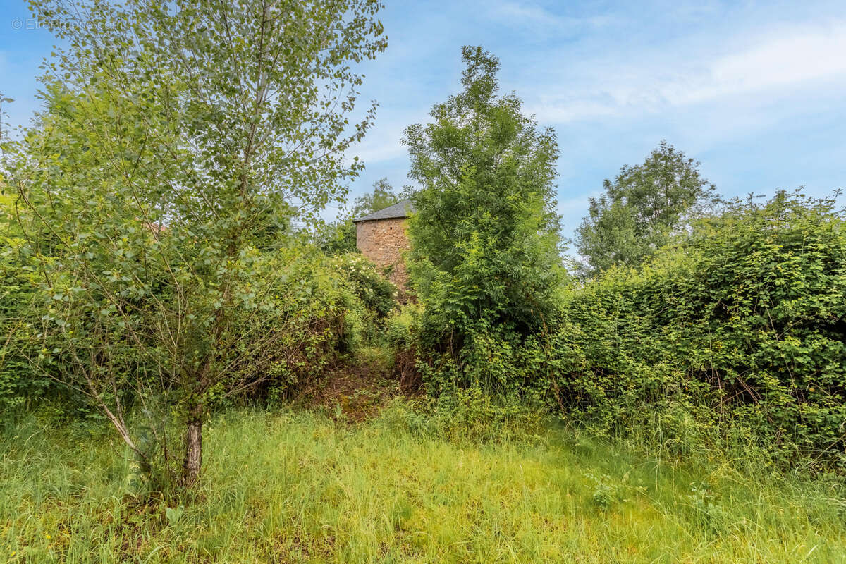 Maison à CORDES-SUR-CIEL
