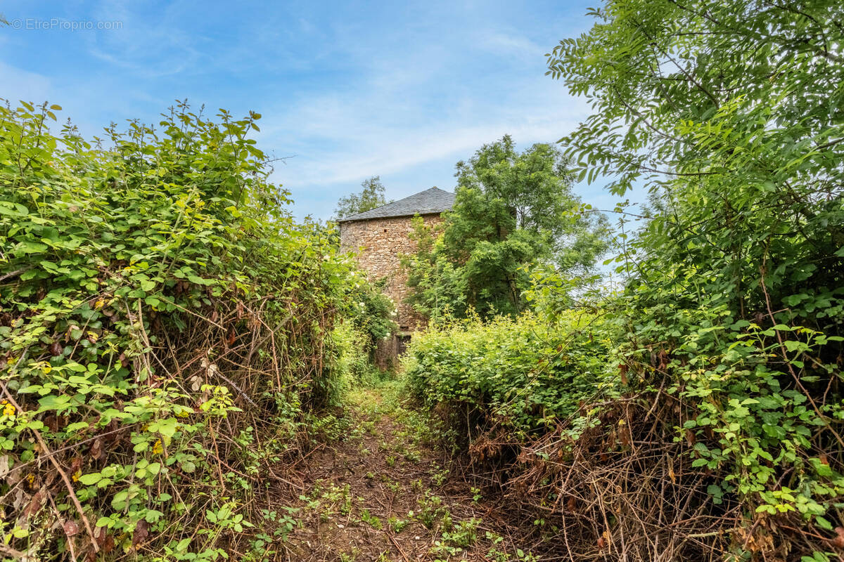 Maison à CORDES-SUR-CIEL