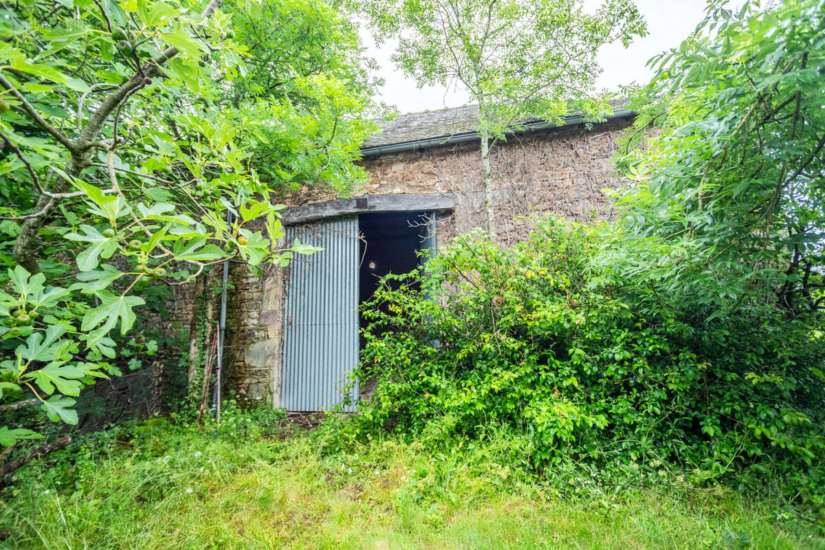 Maison à CORDES-SUR-CIEL