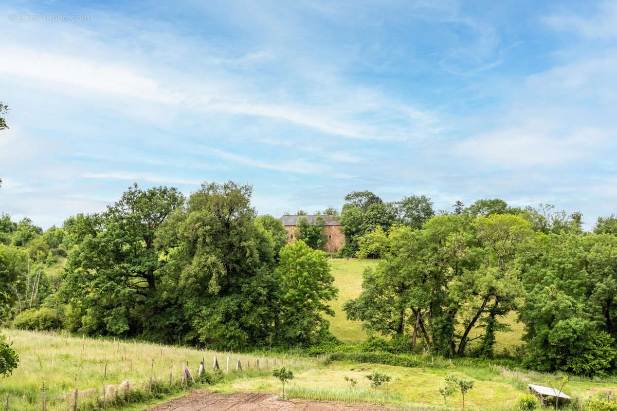 Maison à CORDES-SUR-CIEL
