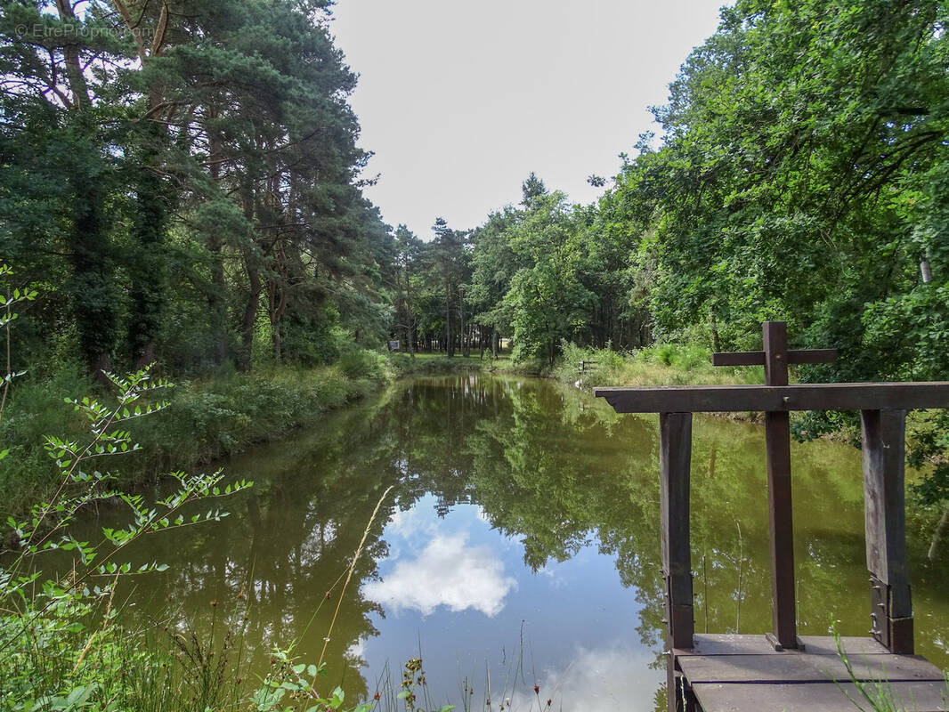 Terrain à VILLEFRANCHE-SUR-CHER