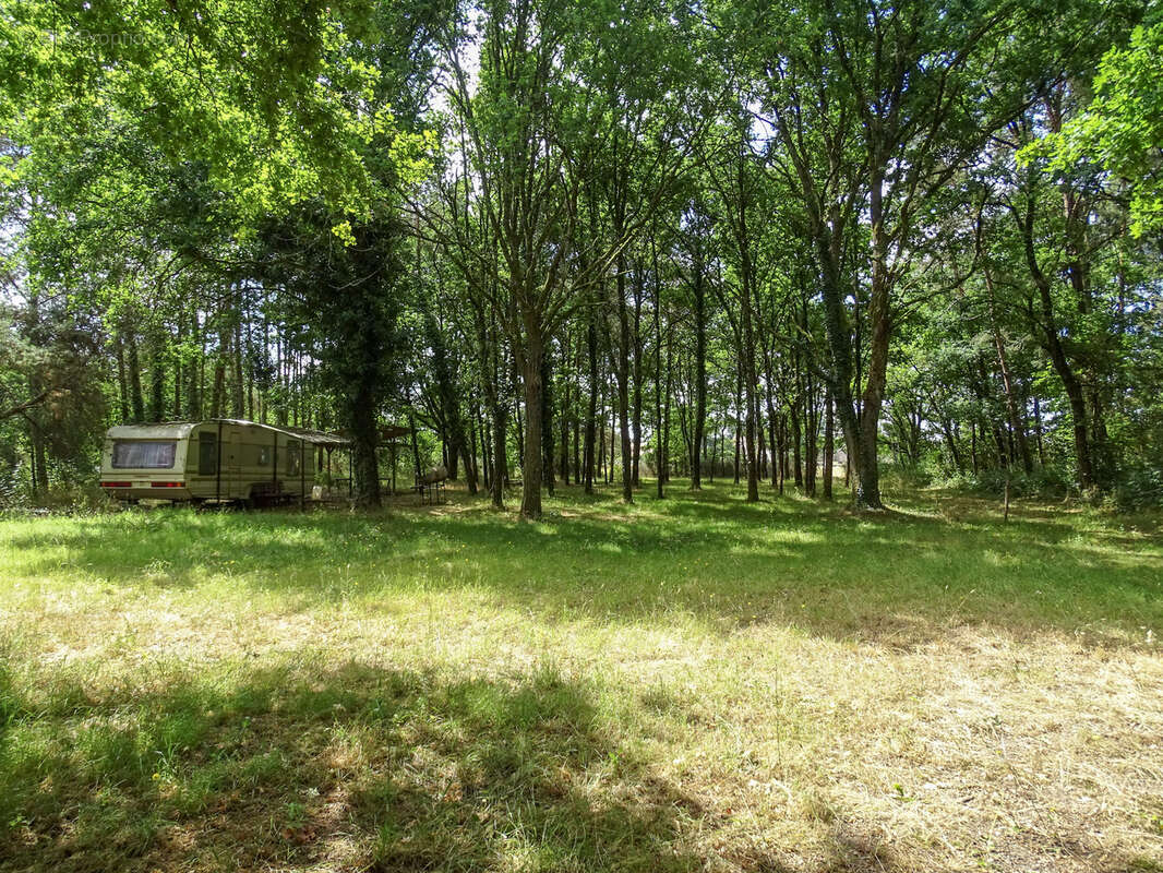 Terrain à VILLEFRANCHE-SUR-CHER