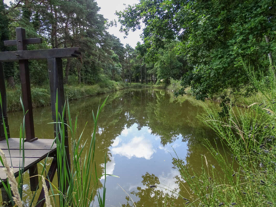 Terrain à VILLEFRANCHE-SUR-CHER