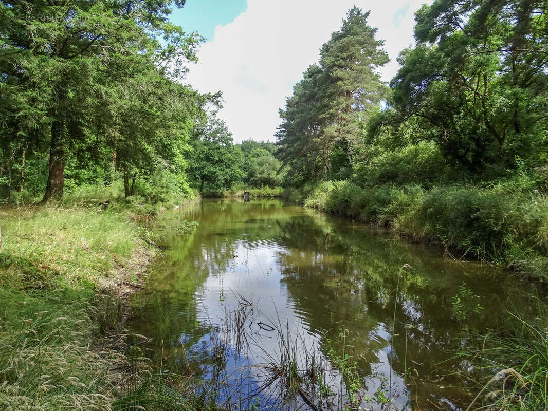Terrain à VILLEFRANCHE-SUR-CHER