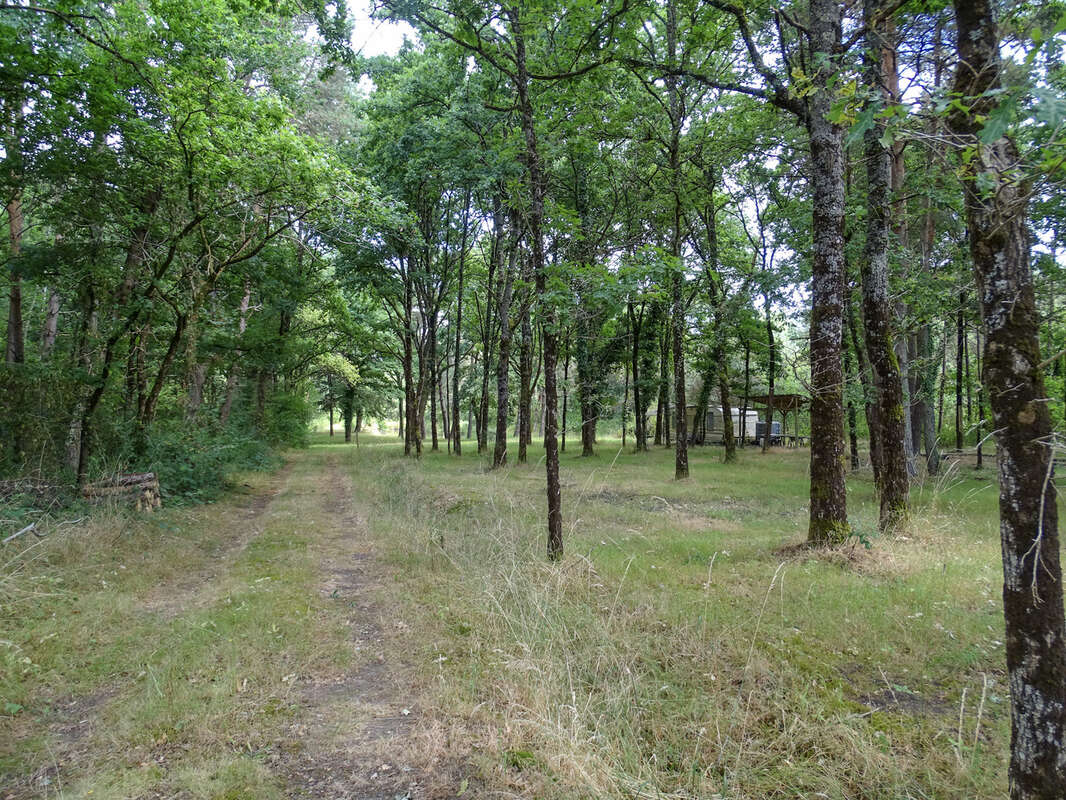 Terrain à VILLEFRANCHE-SUR-CHER