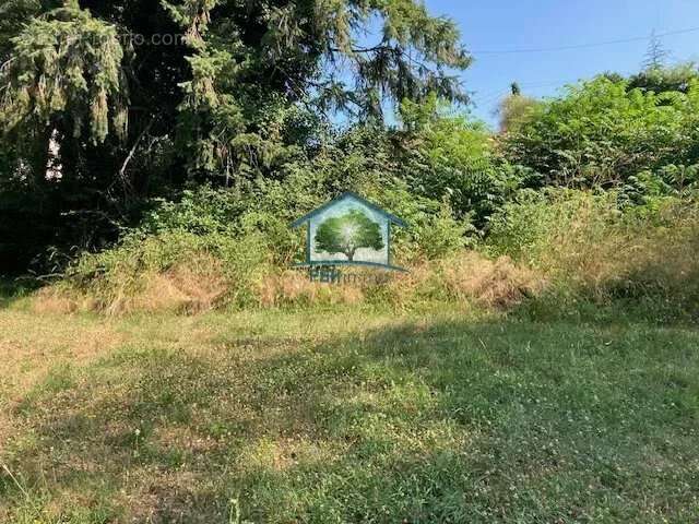 Terrain à SAINT-CHAMOND