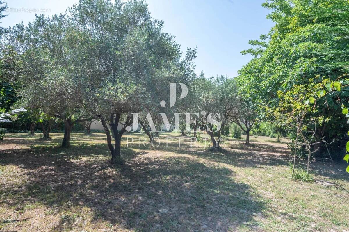 Maison à SAINT-REMY-DE-PROVENCE