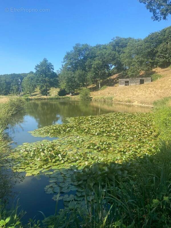 Terrain à CHAMPEAUX