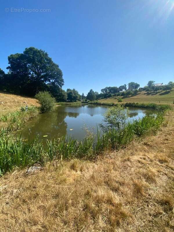 Terrain à CHAMPEAUX