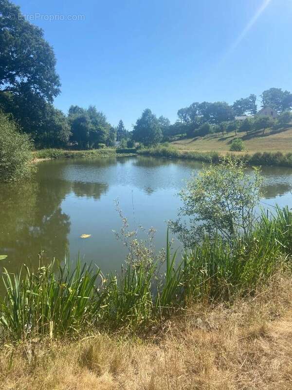 Terrain à CHAMPEAUX