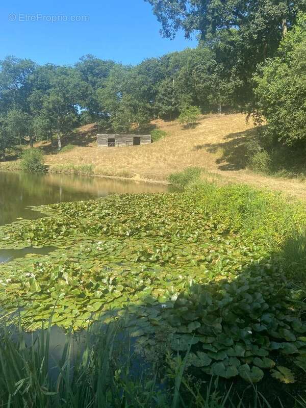 Terrain à CHAMPEAUX