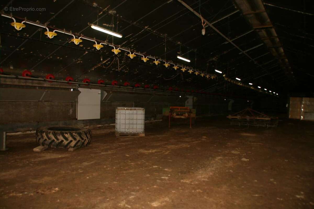 Commerce à JOSSELIN