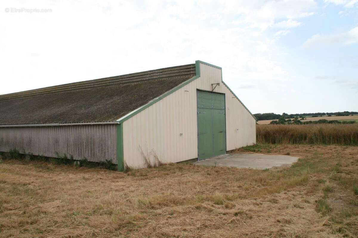 Commerce à JOSSELIN