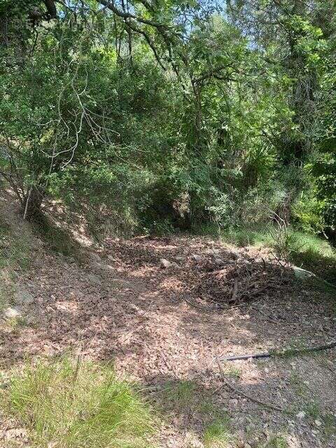 Terrain à TOURRETTE-LEVENS