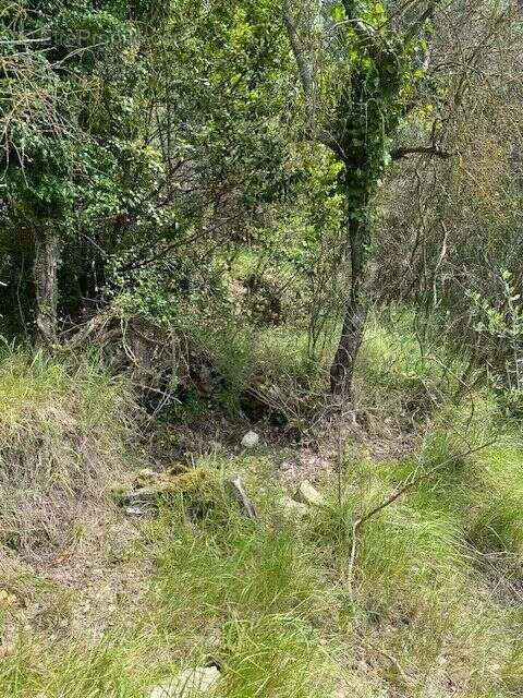 Terrain à TOURRETTE-LEVENS
