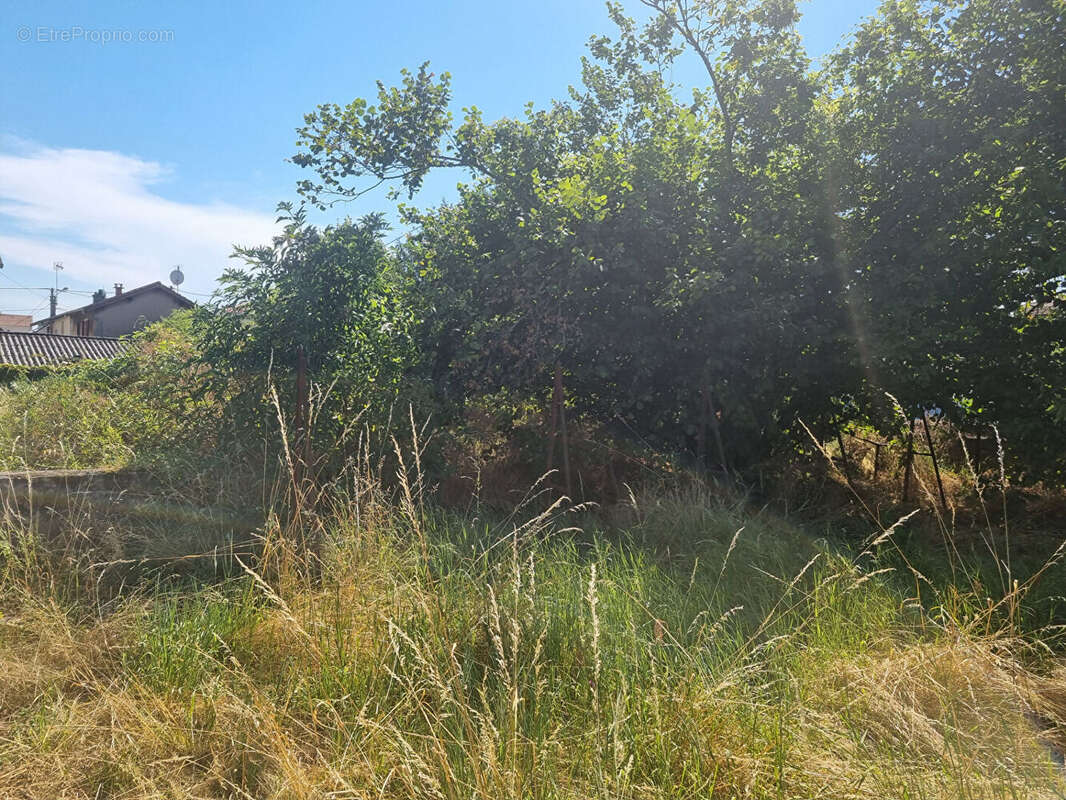 Terrain à AMBERIEU-EN-BUGEY