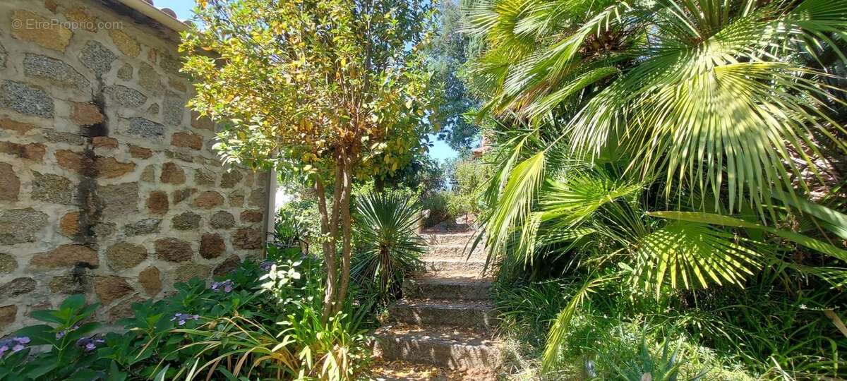 Maison à BASTELICACCIA