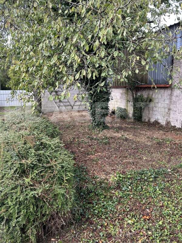 fond de cour - Copie - Maison à MACHAULT