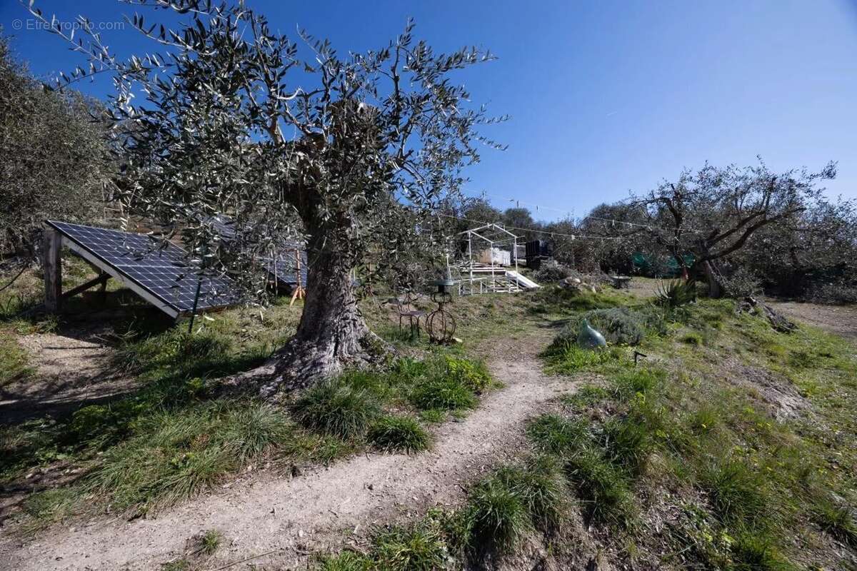 Maison à TOUET-DE-L&#039;ESCARENE