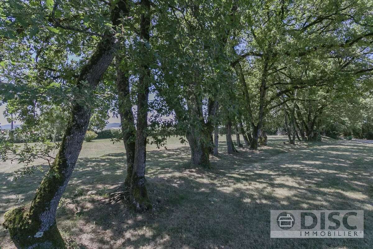 Maison à SAINT-MARTIN-LAGUEPIE