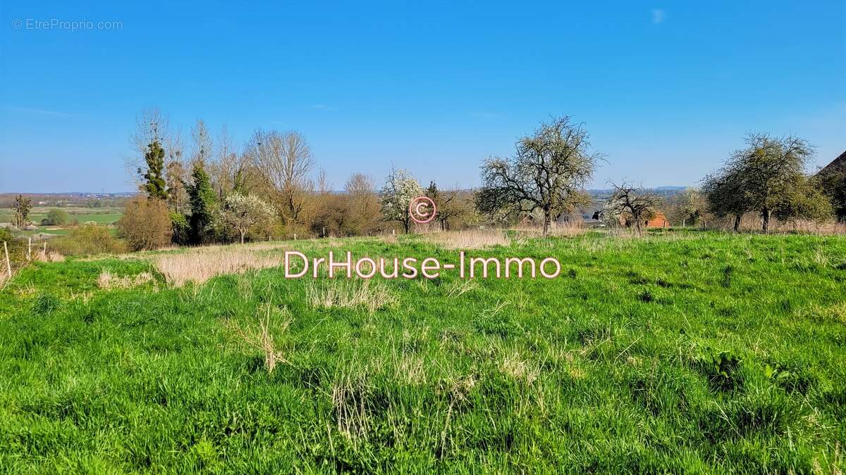 Terrain à AMIGNY-ROUY