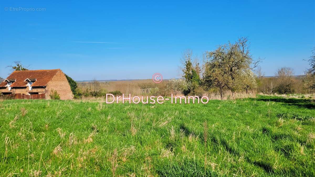 Terrain à AMIGNY-ROUY