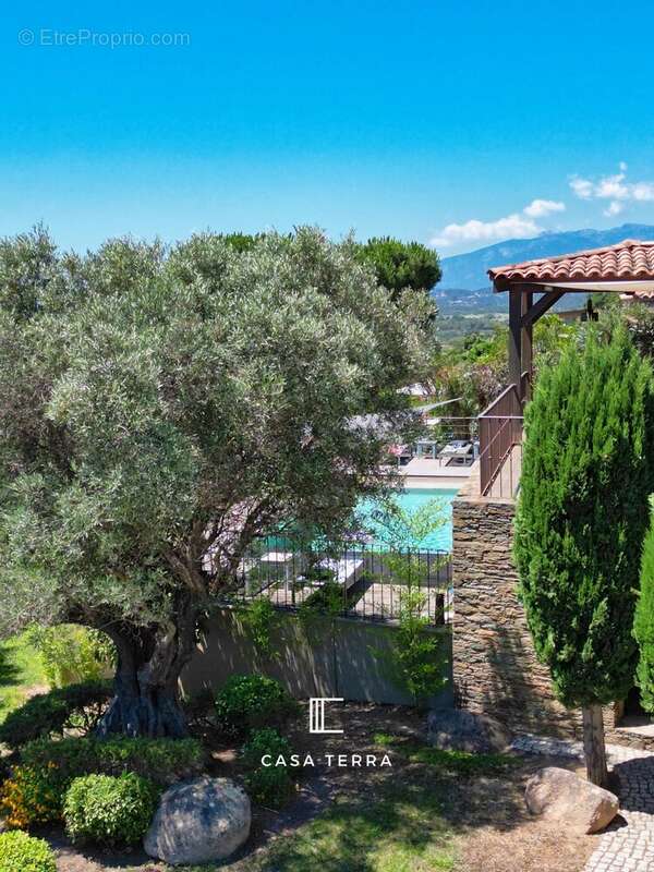 Maison à PORTO-VECCHIO