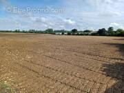 Terrain à VILLEDOUX