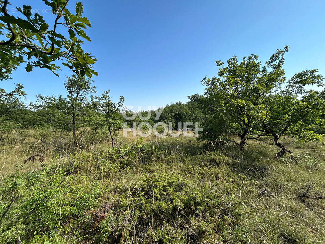 Maison à BELFORT-DU-QUERCY
