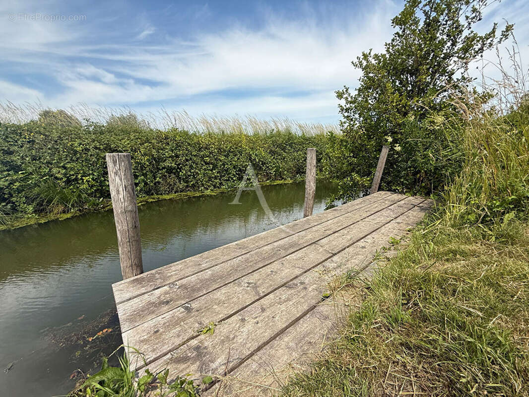 Maison à SAINT-OMER