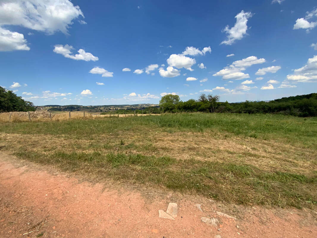 Terrain à LE BREUIL