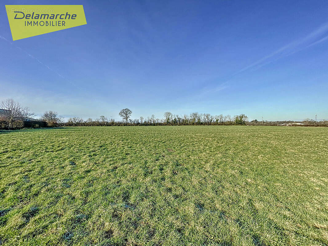 Terrain à QUETTREVILLE-SUR-SIENNE