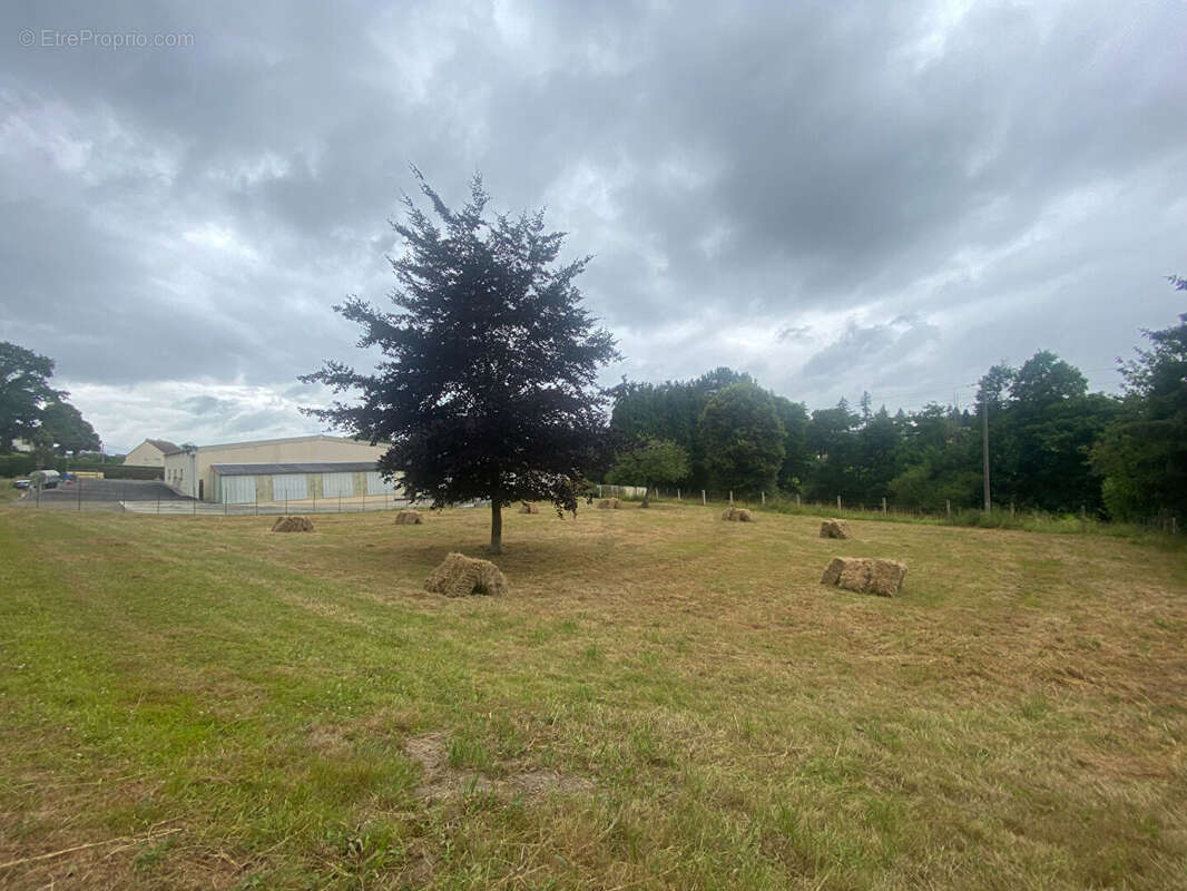 Terrain à VASSY