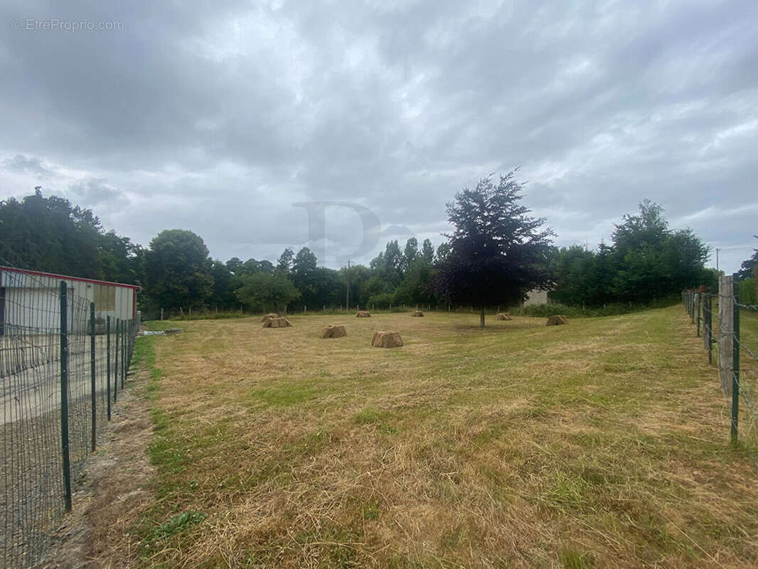 Terrain à VASSY