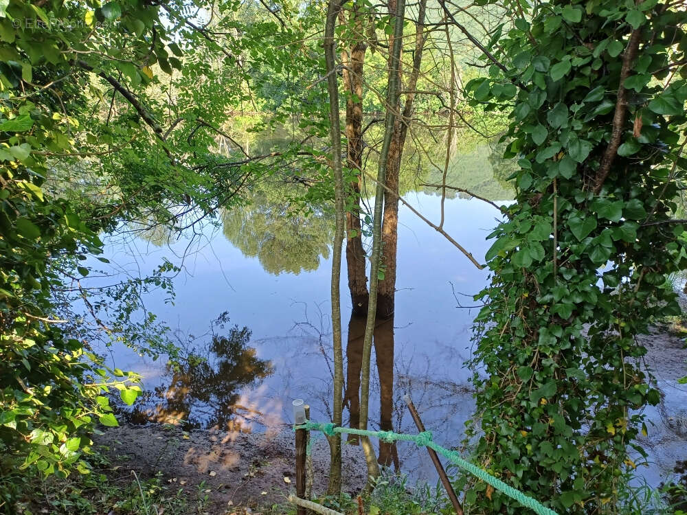 Maison à BALAGUIER-D&#039;OLT