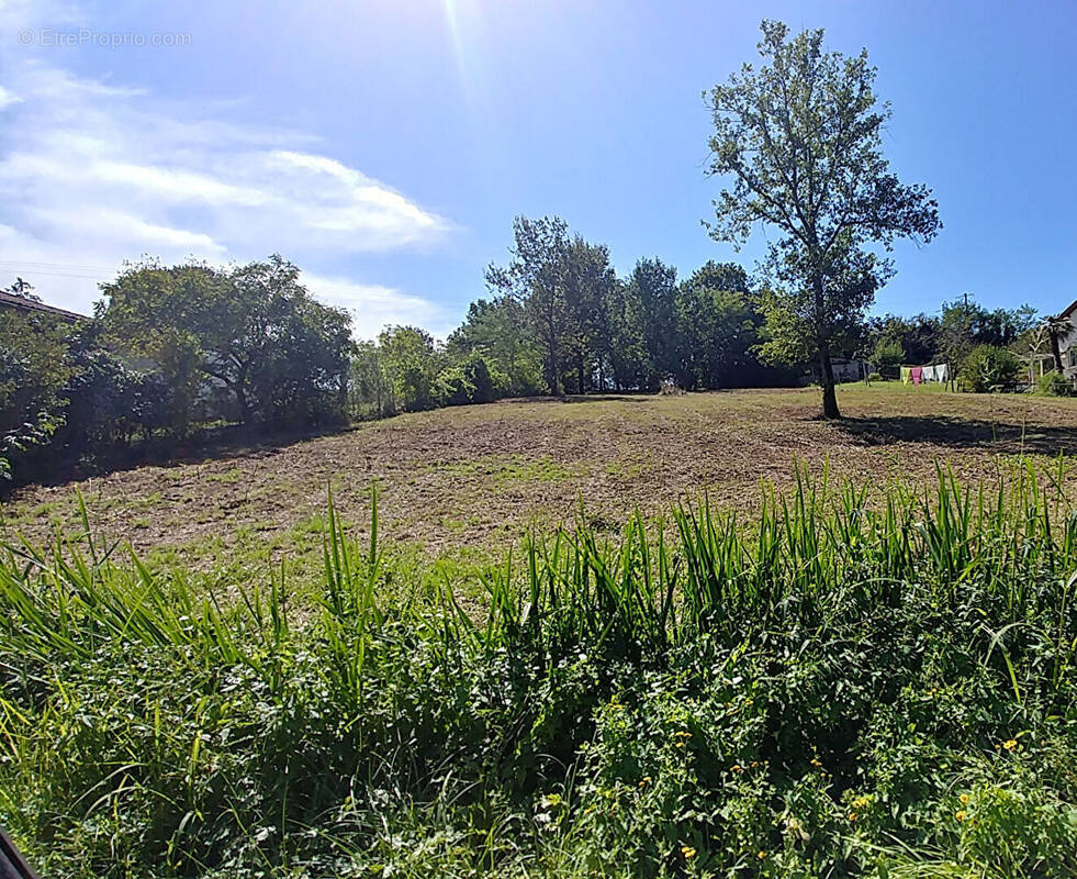 Terrain à CAUSSADE