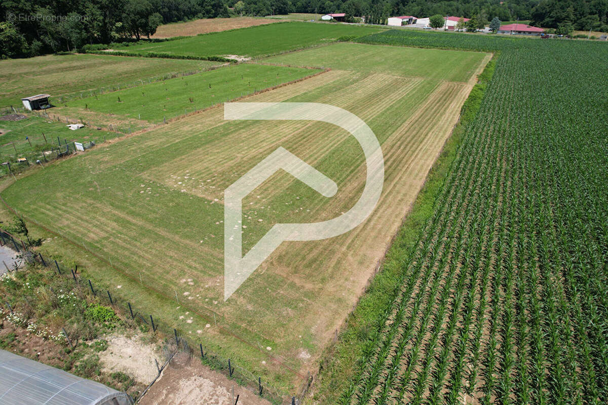 Maison à ARTHEZ-DE-BEARN