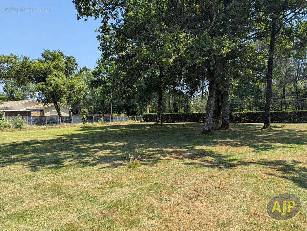Terrain à SAINT-JEAN-D&#039;ILLAC