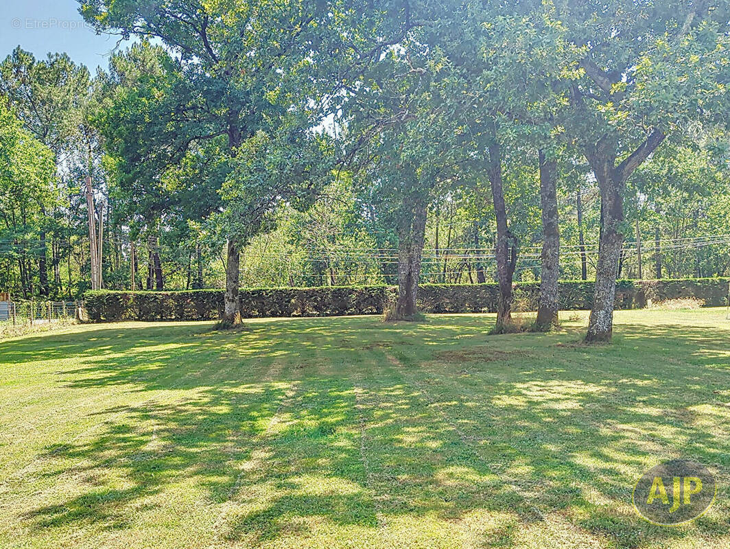 Terrain à SAINT-JEAN-D&#039;ILLAC