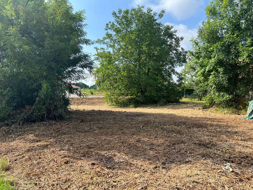 Terrain à LA CHAPELLE-DE-LA-TOUR
