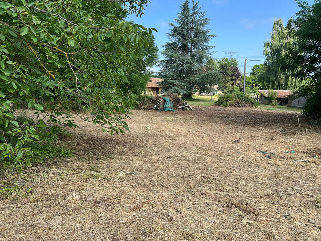 Terrain à LA CHAPELLE-DE-LA-TOUR