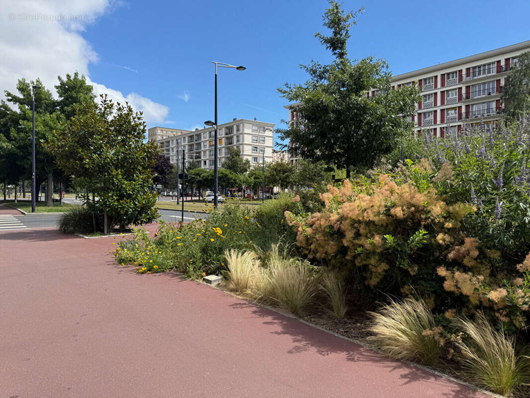 Commerce à LE HAVRE